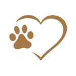 Terapia asistida con perros de caza | Proyecto Aristeo